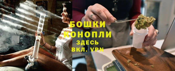 PSILOCYBIN Гусев