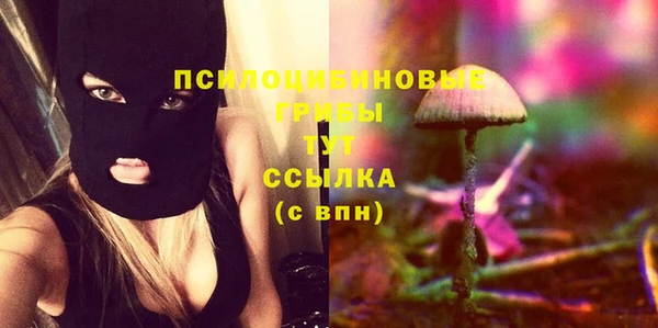 PSILOCYBIN Гусев