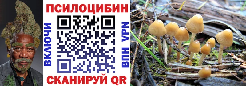 Галлюциногенные грибы MAGIC MUSHROOMS  Купить где  Сковородино 